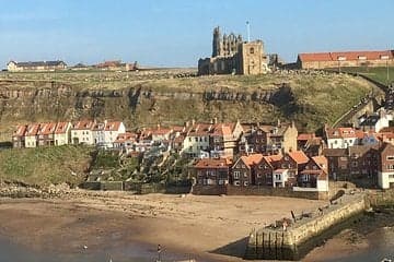 Private Tour: North Yorkshire Moors and Whitby from Harrogate in 16 Seat Minibus Image 1