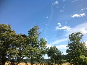 Everley Cottage Image 1