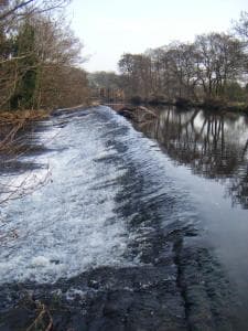 THE FIRS B&B &TEA ROOM Image 3