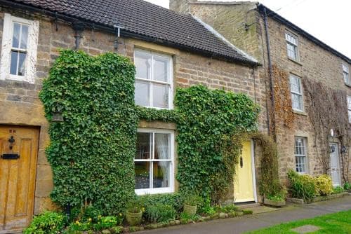 Jasmine Cottage Image 3