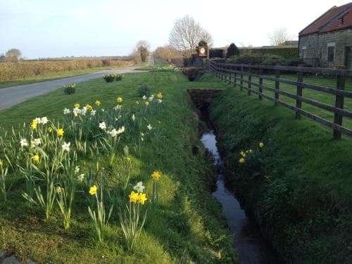 Wren Cottage, Harrogate Image 10