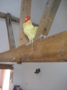 The Old Dairy, Heritage Escapes, Field House Farm Image 2