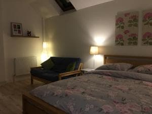 Rosehips at Kerensa, Naburn Image 2