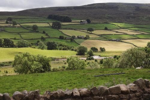 Crow Hall - Luxury Holiday Accommodation Image 3