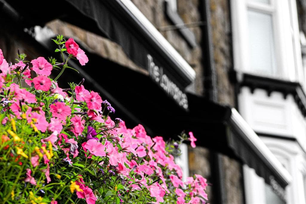 The Lawrance Luxury Aparthotel - Harrogate Image 1