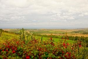 Rosecombe, Borrowby Farm Cottages Image 1