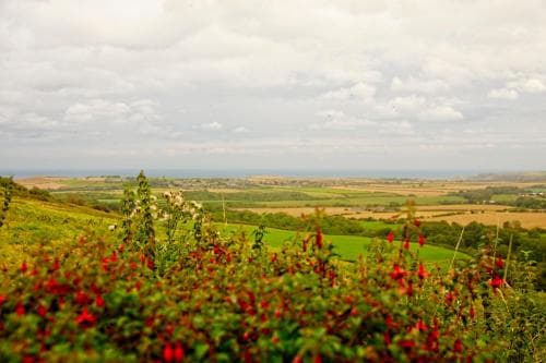 Sebright Cottage, Borrowby Farm Cottages Image 3