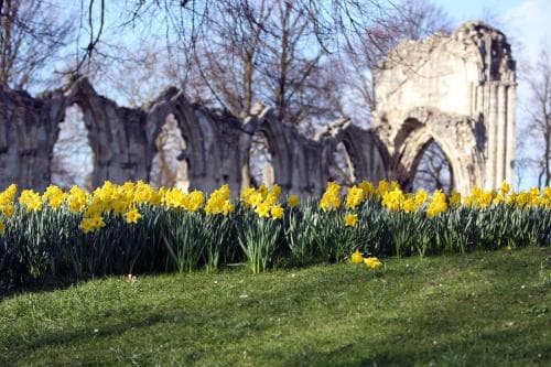 Avondale Guest House Image 3