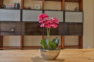 Refurbished Central Premium Property Image 2