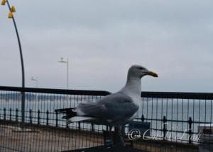 Leisure view apartment Image 2