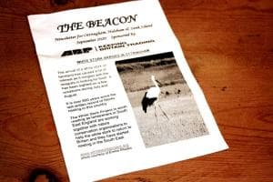 The Wolf's Hideout Image 2