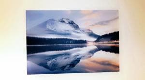 Highfields Town House Image 2