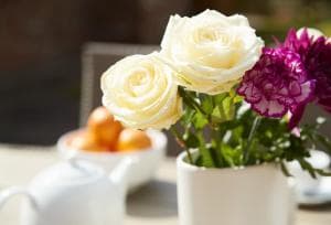 The Old Combine Shed Image 1