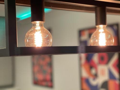 The Opulence Image 1