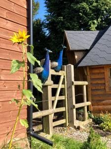 Lane House Farm Image 2