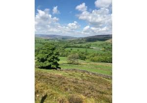 Perfectly Located 4 Storey Townhouse With 2 Parking Spaces In Central Harrogate Image 2