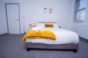 Cosy Executive City Apartment 2 Image 5