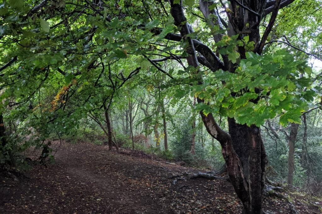 Cosy 2 bed house near Peak District Image 1