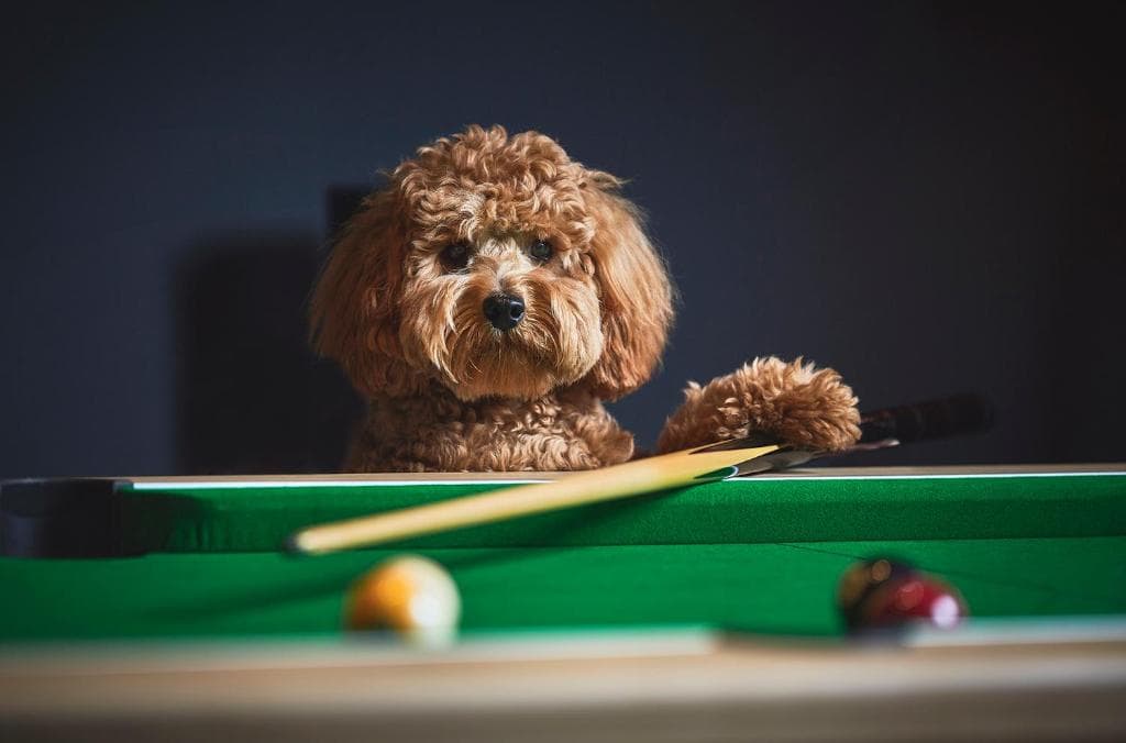 Haworth Home - Hot tub Cinema Games Room Sleeps 10 Image 1