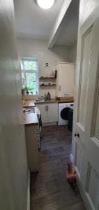 Spacious and Luminous Roundhay Gem Image 1