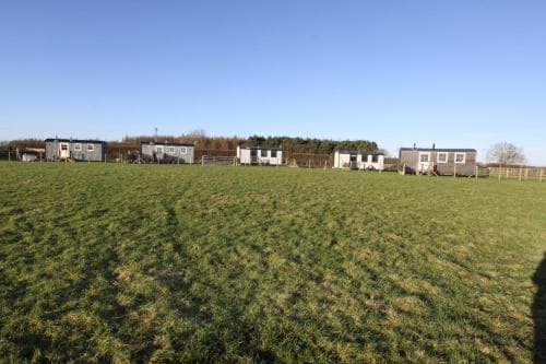 Springwood Shepherd Huts Glamping York Image 3