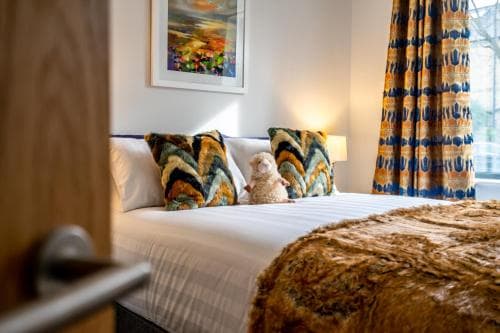 6 St Johns Mews Image 3