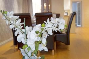 127 Columbus Ravine Image 2