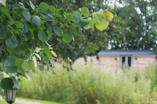Luxury Shepherds Hut - The Sweet Pea by the lake Image 3