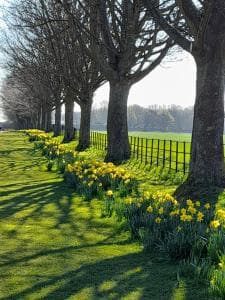Charming Wentworth Lodge with countryside views Image 2