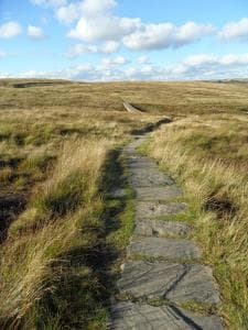 Woodbottom Farm - A Splendid Yorkshire Getaway Image 2