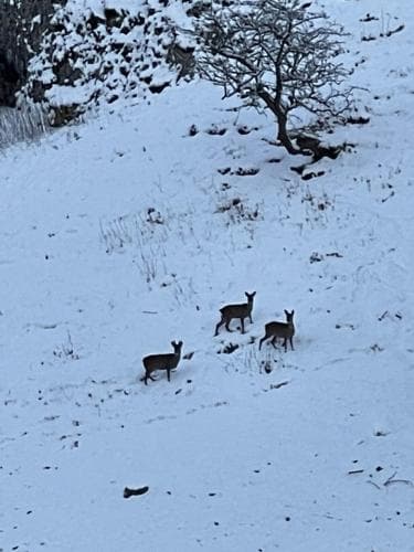 Simon’s Seat View Image 3