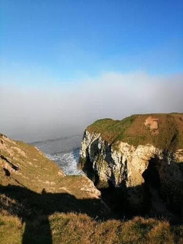 FABULOUS 4 BERTH CARAVAN FOR RENT- Dog Friendly -fees apply Image 3