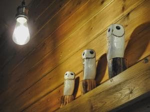 Little North Field Image 2