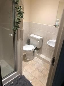 Royal Plaza Apartments Image 2