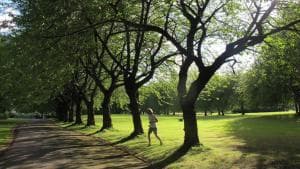 *C!4* Enjoy a wonderful stay in our Cosy Luxurious & Spacious ground floor apartment + Free Parking + Free WiFi * Image 2