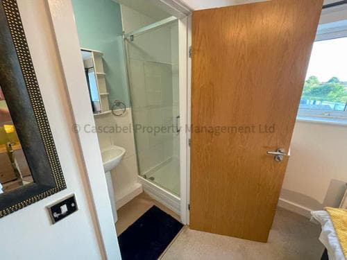 Bright bathroom in Hull with shower, wooden door, and framed mirror. Window view of greenery outside.