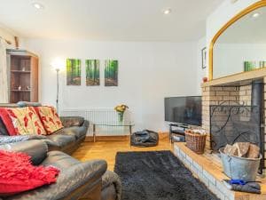 Twitchers' Den Image 2