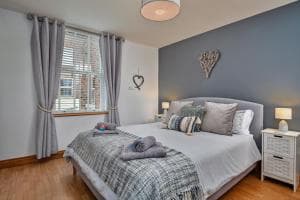 Oystercatcher Image 2