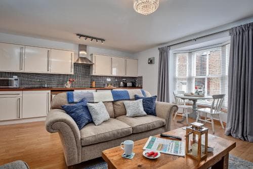 Oystercatcher Image 3