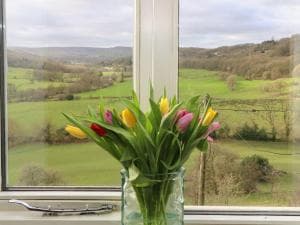 Holmdale Cottage Image 2