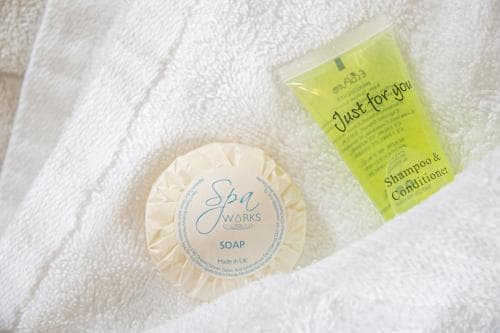 Wentworth Castle Image 3