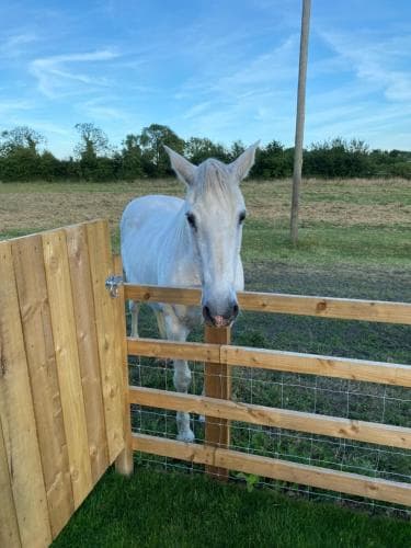 Mowbray Stable Cottages Image 2