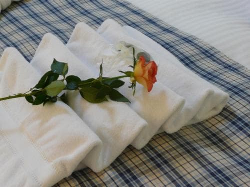 The Old Coach House Image 3