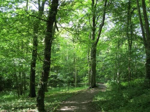 Judges Hotel Image 3