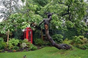 Dimple Well Lodge Hotel Image 1