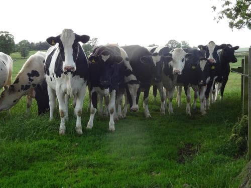 Chequers Inn Image 2