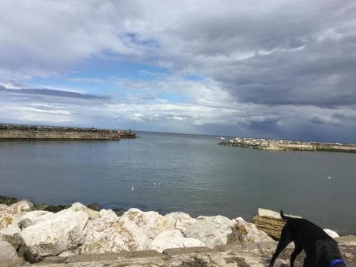 The Cottage, High Street Staithes Image 3