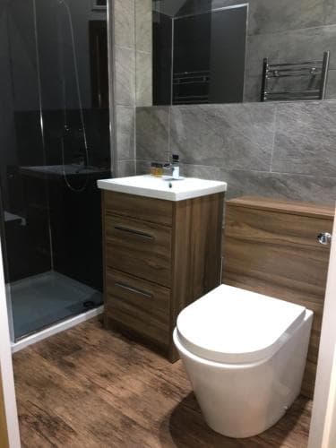 De Alma - The Swan Image 3