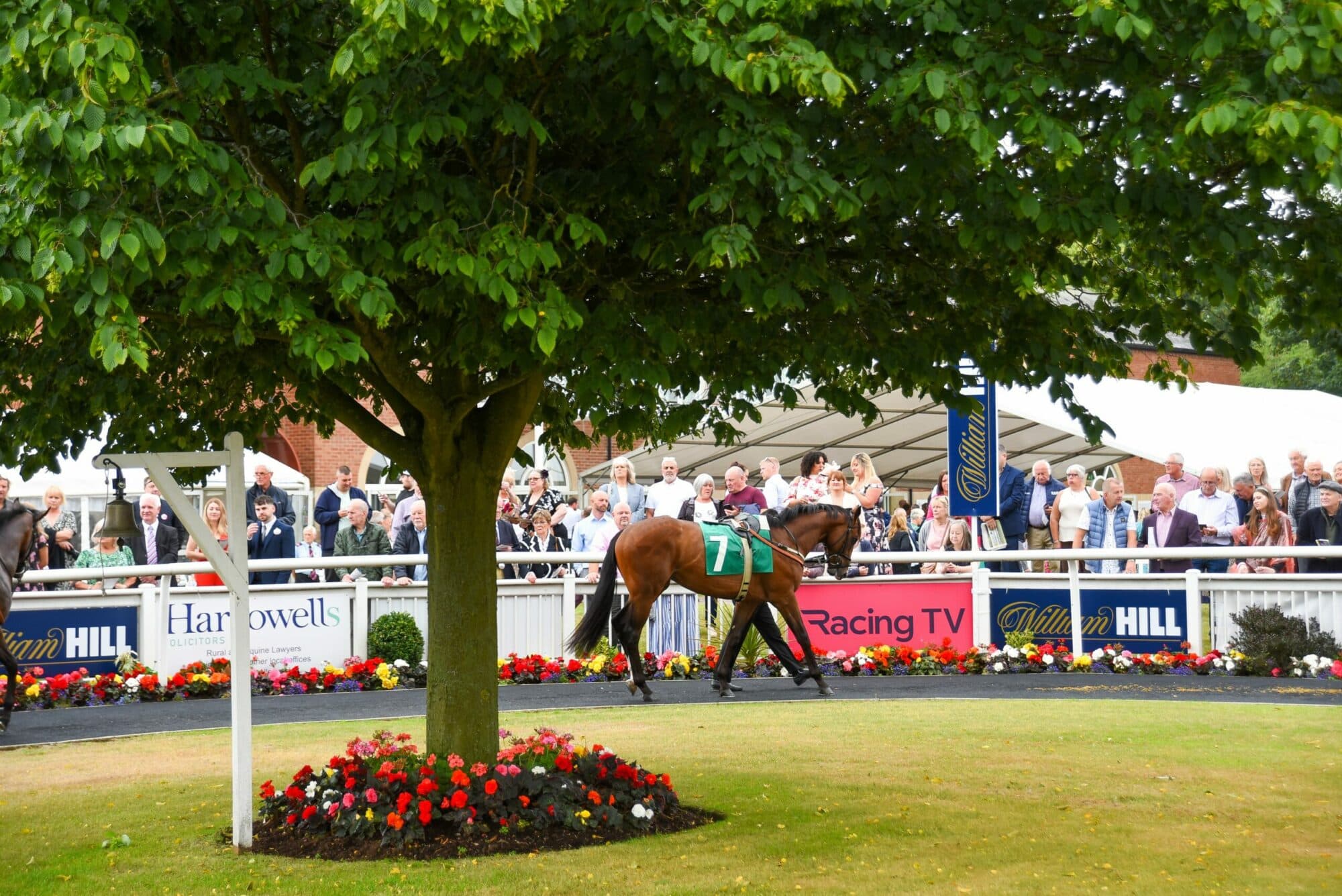 Thirsk Racecourse Image 4