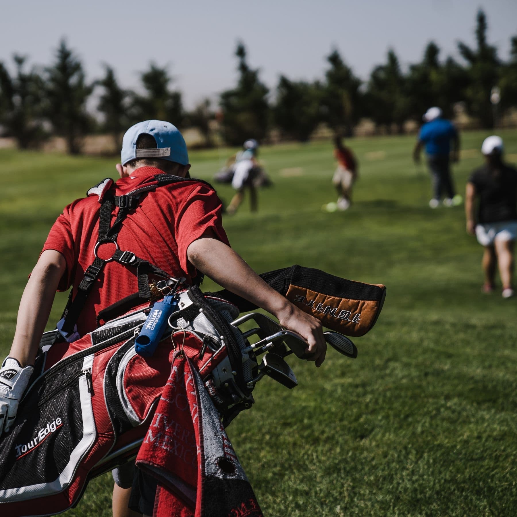 Aldwark Manor Estate Image 11